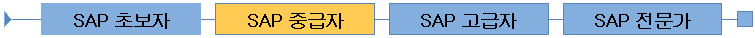 SAP@Home Career Roadmap